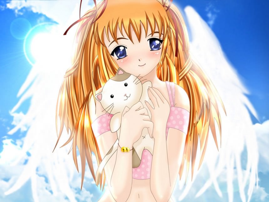  ,      ,   ,   ,  , ,  